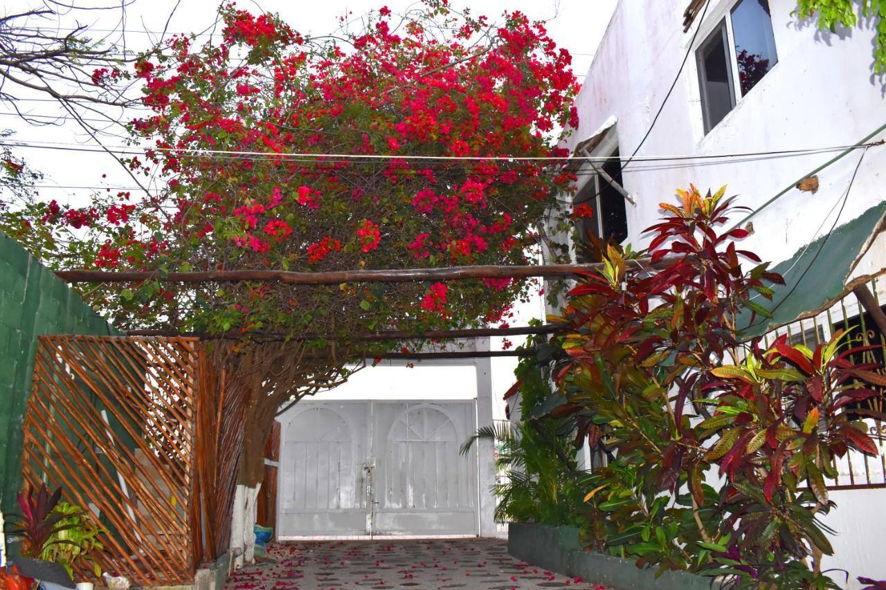 Lobo Inn ตูลุม ภายนอก รูปภาพ